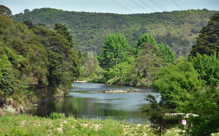 View over the Ohinemuri River