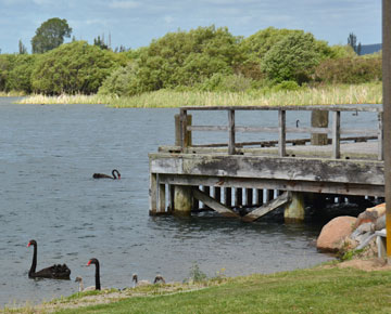 The Jetty