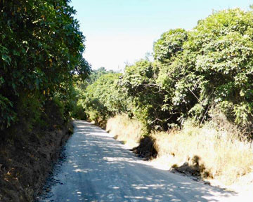 Driveway to the Reserve