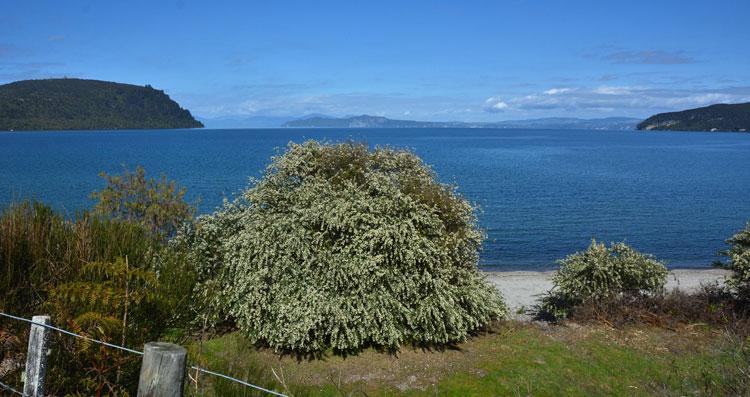 View out over Lake Taupo