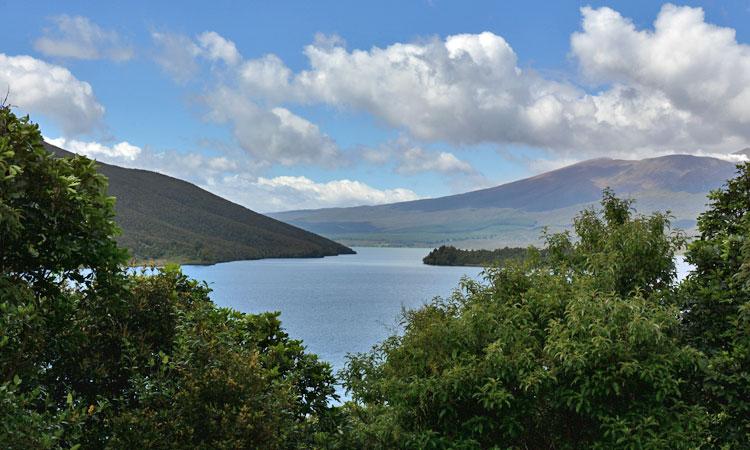 View out over the lake