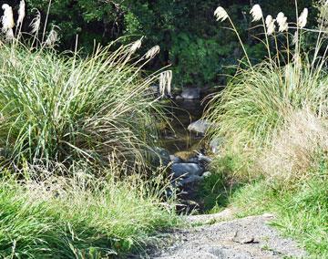 Access to the Oturere stream