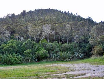 The hill overlooking Lake Taupo