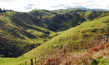 View from the Kawhia hilltop car park