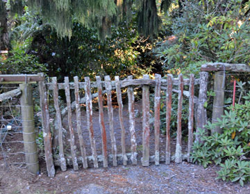 Entrance to the garden