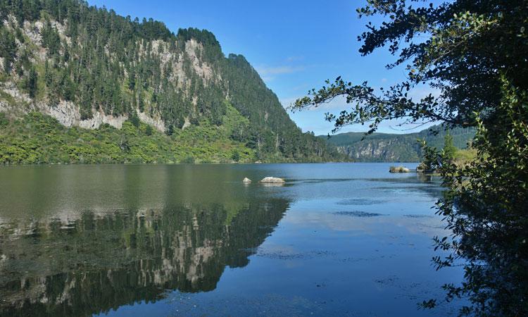 View over the Waikato river