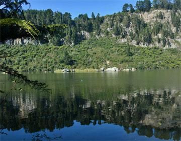 Reflections in the Waikato river