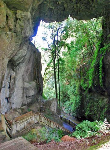 Stairway out under the natural bridge