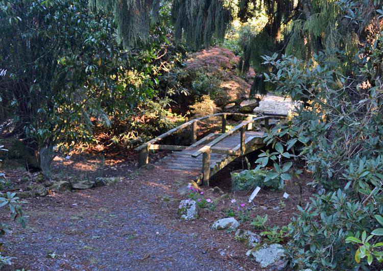 Bridge near the entrance to the garden