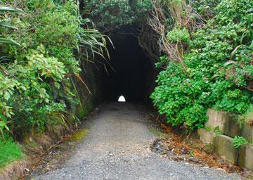 Tunnel entrance leading to Waikawau Beach