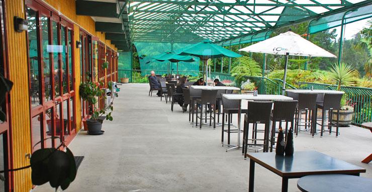 Atrium cafe tables outside the gift shop