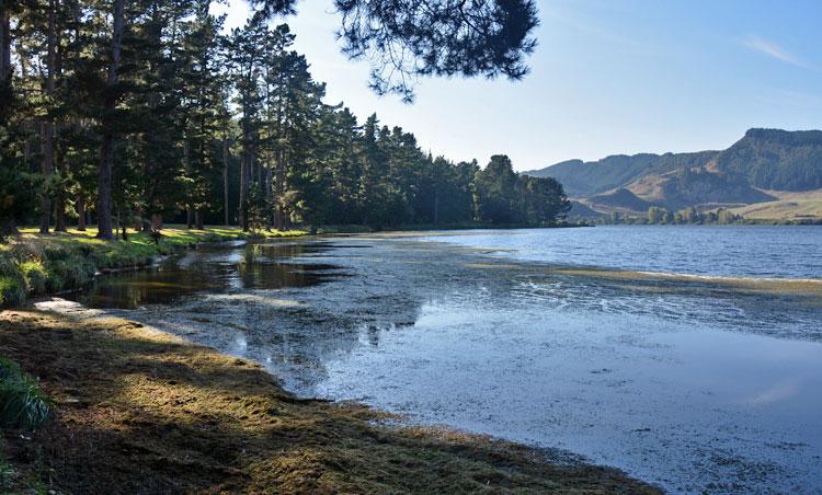 Lake Whakamaru