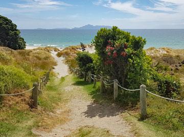 Walkway down to the beach