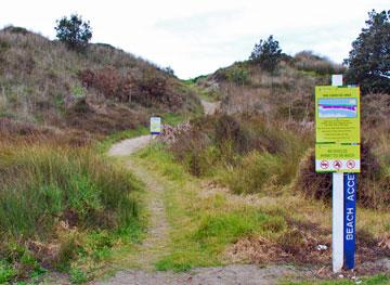 Walkway to the beach