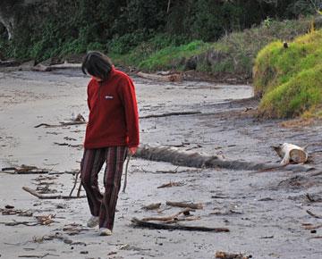 Shuping collecting driftwood