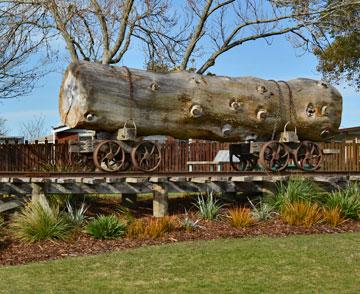 Tribute to Katikatis pioneering logging industry