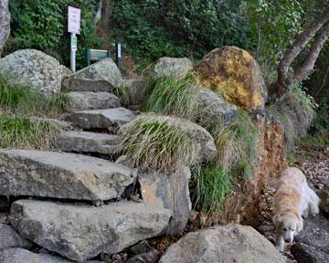 Entrance to the Orokawa Bay walk