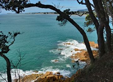 View from the Orokawa Bay track