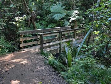 Bridge on the Orokawa Bay track