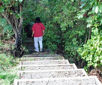 Stairway descending to the lower car park and beach