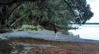 Secluded Kauri Point Bay