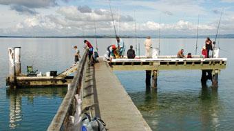 Fishing from the Kauri Point pier
