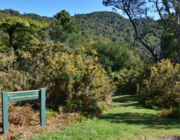 Entrance to the walking track