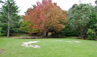 Tannrs Point Picnic Area