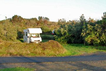 Secluded parking at Uretiti campsite