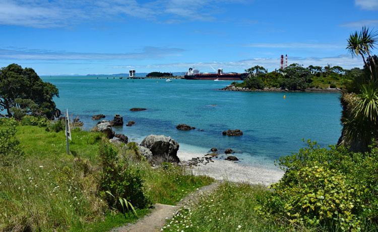 Beach access at the Marine Reserve