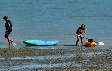 Kayaking in the Whangarei Harbour