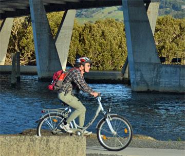 Cyclist using the cycleway