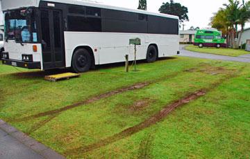 Tyre marks from getting stuck the night before