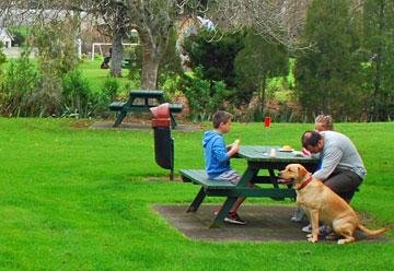 Picnic tables outside the cafe