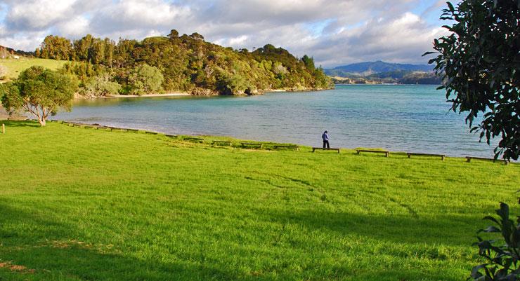 Puriri Bay - DOC campsite, Whangaruru North