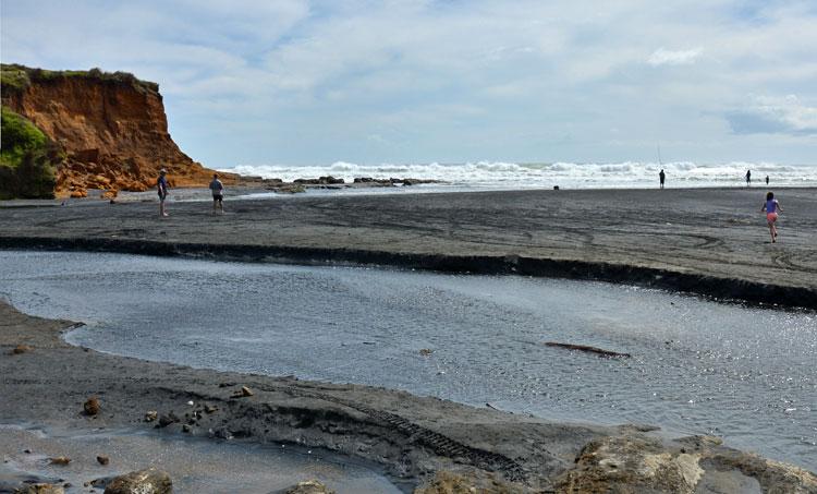 The west coast beach at Hamiltons Gap