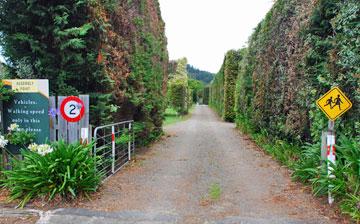 Driveway Entrance