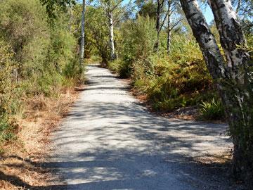 Walkway