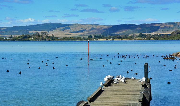 Lake view from the wharf