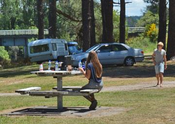 Young couple enjoying a picnic