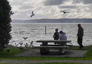 picnic table