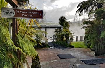 Beginning of the Te Manaroa Spring Eco Trail