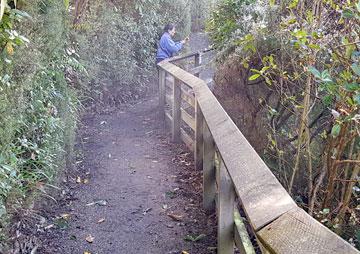 Walking track along the river