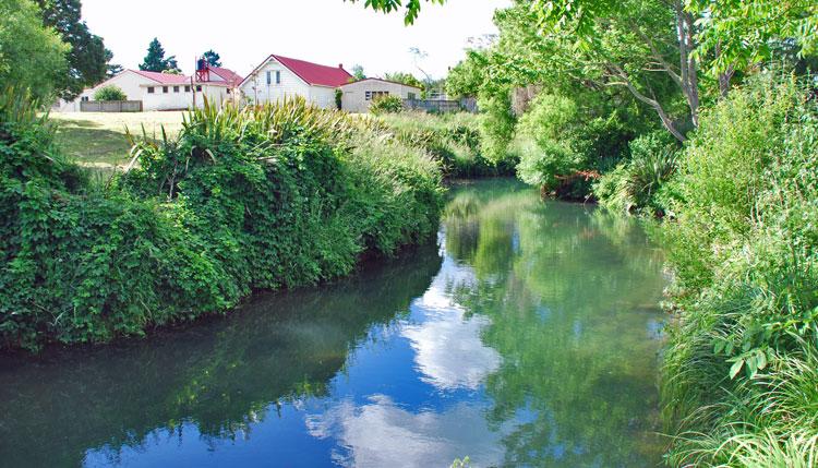 The Waiteti Stream