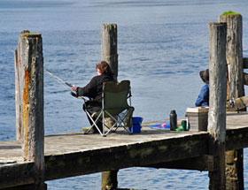 Fishing from the Pukenui wharf