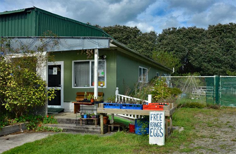 Green Shed entrance