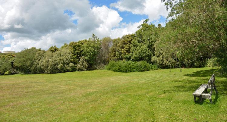 The parking area in the reserve