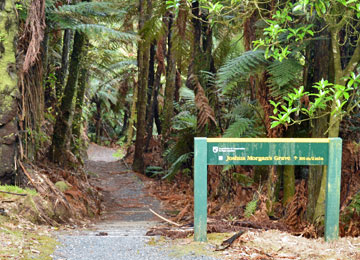 Walk to the grave site