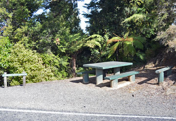 Rest Area at the Whangamomoana Saddle