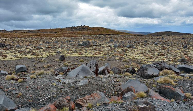 Rugged landscape